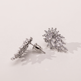 Σκουλαρίκια Eden